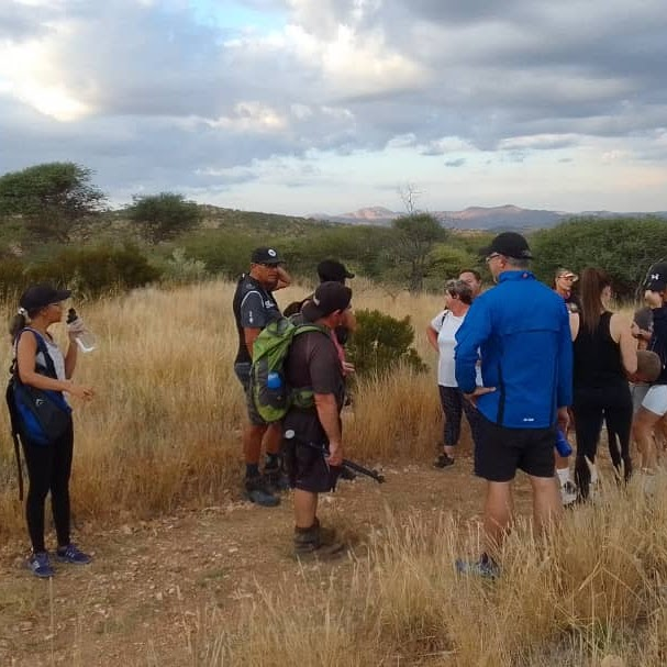 NGOs in the Spotlight